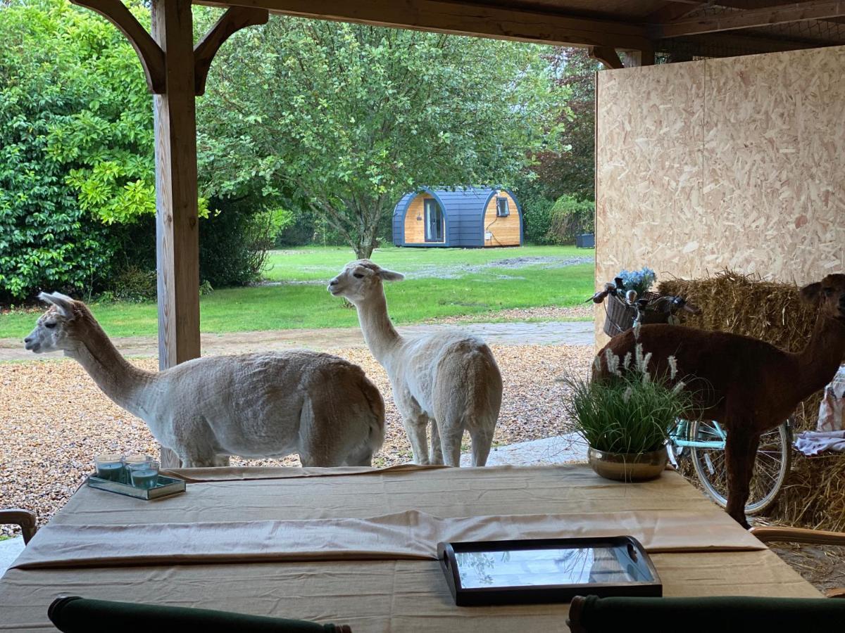 The Piggery Pod Hotel Sittingbourne Bagian luar foto