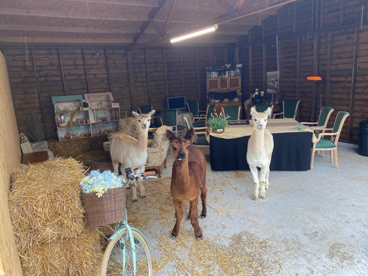 The Piggery Pod Hotel Sittingbourne Bagian luar foto