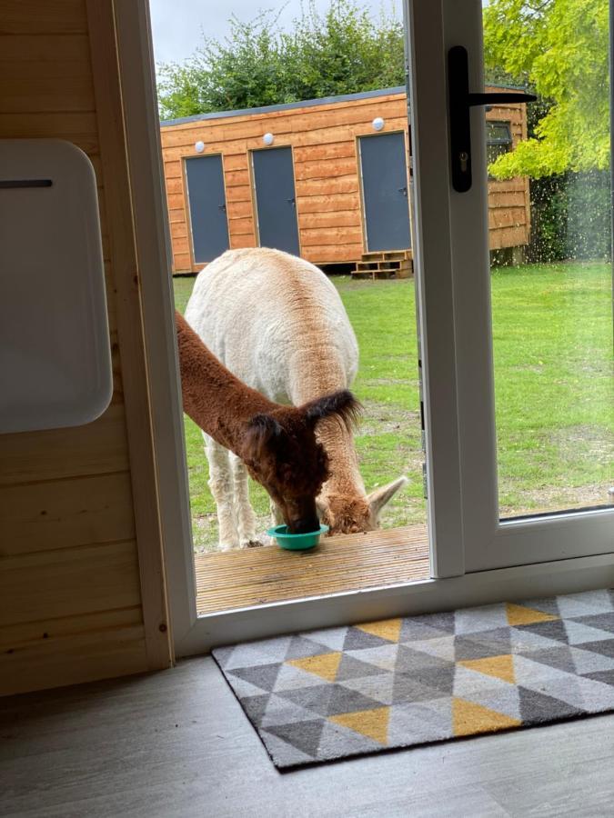 The Piggery Pod Hotel Sittingbourne Bagian luar foto