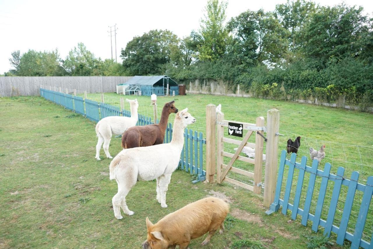 The Piggery Pod Hotel Sittingbourne Bagian luar foto