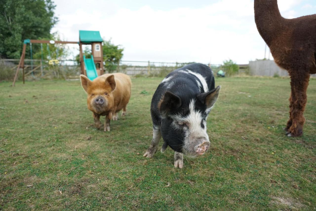 The Piggery Pod Hotel Sittingbourne Bagian luar foto
